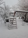 Im Garten